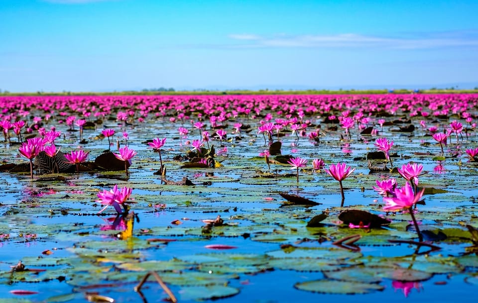 North Isaan and the Mekong, Small Group Tour