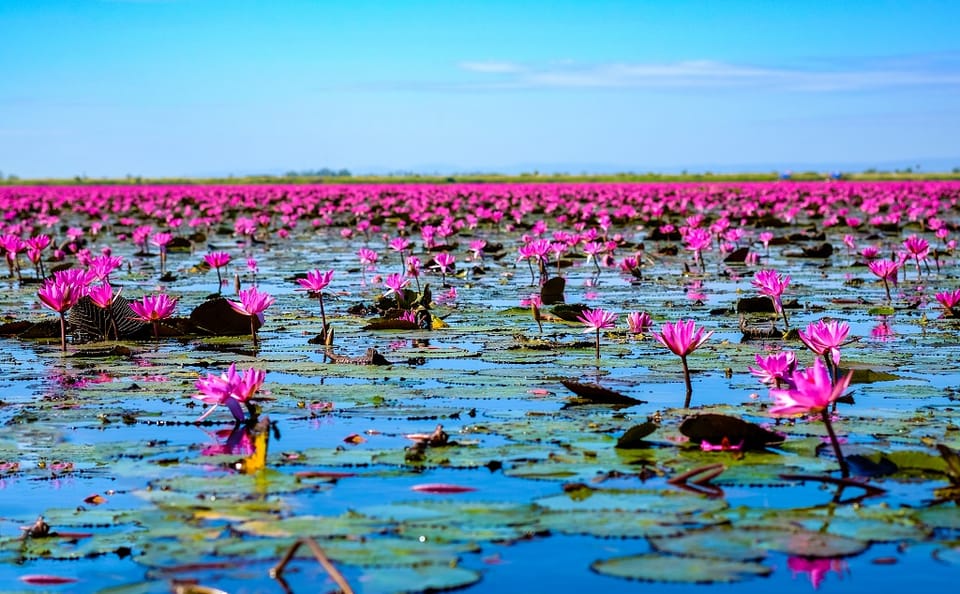 Explore North Isaan and the Mekong on a Guided Tour from Bangkok