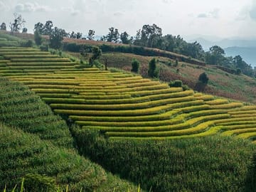 Doi Inthanon Nature Tour from Chiang Mai