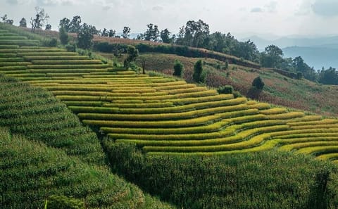 Doi Inthanon Nature Tour from Chiang Mai