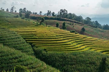 Doi Inthanon Nature Tour from Chiang Mai