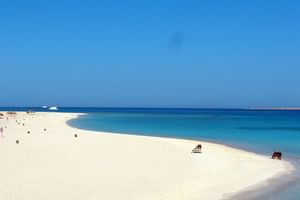 Abu Dabab Bay National Park Swim with Turtles from Hurghada
