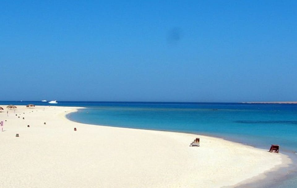 Snorkeling with Turtles at Abu Dabab Bay from Hurghada