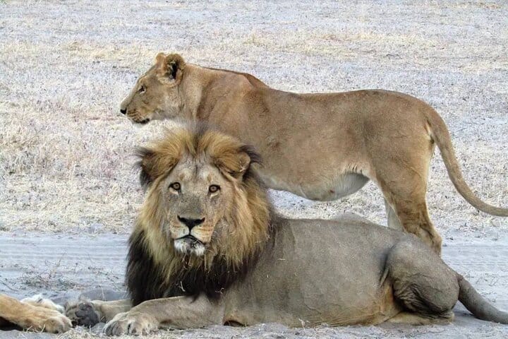 15 minutes scenic helicopter flight above Victoria Falls-Zimbabwe