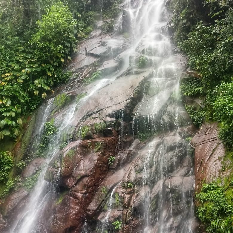 Puc-05 : Yarinococha and Pink Dolphins – Shipibo Conibo Connection