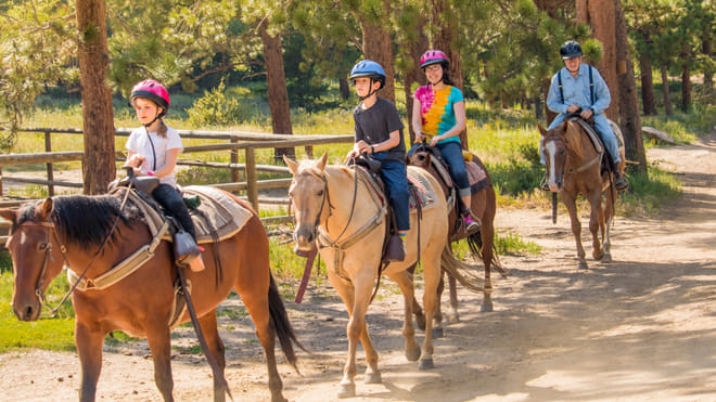 Kusadasi: Horse Riding Beach and Forest options with Transfer photo 2