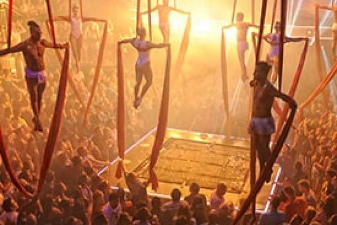 Coco Bongo Gold Member 5