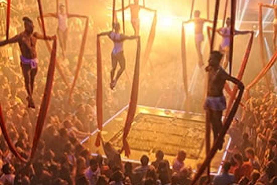 Coco Bongo Gold Member 5