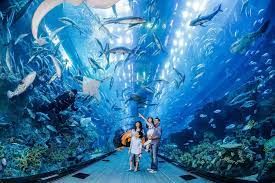 Offer in dubai aquarium tickets with tour visionary