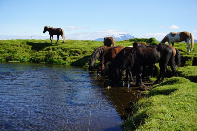 15 - The Volcano Hekla