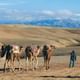 Agafay Desert Package, Quad Bike, Camel Ride and Dinner Show