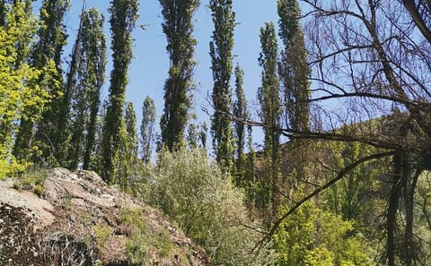Private 2-Day Trekking Tour in Cappadocia's Landscapes