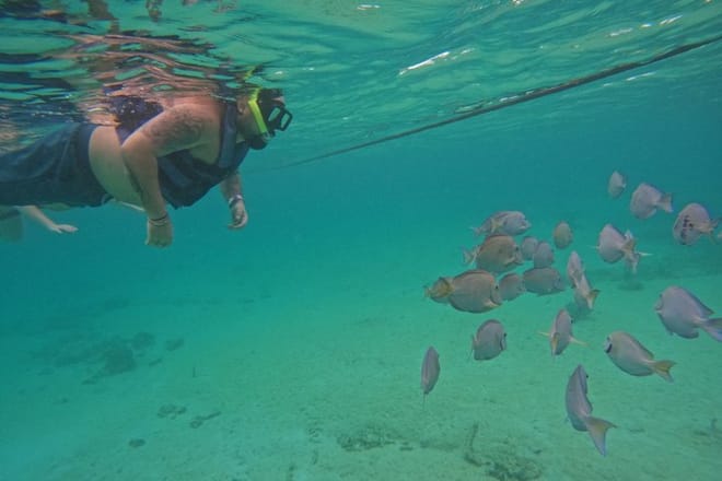 Santuario de tortugas Akumal Snorkel Experiencia marina