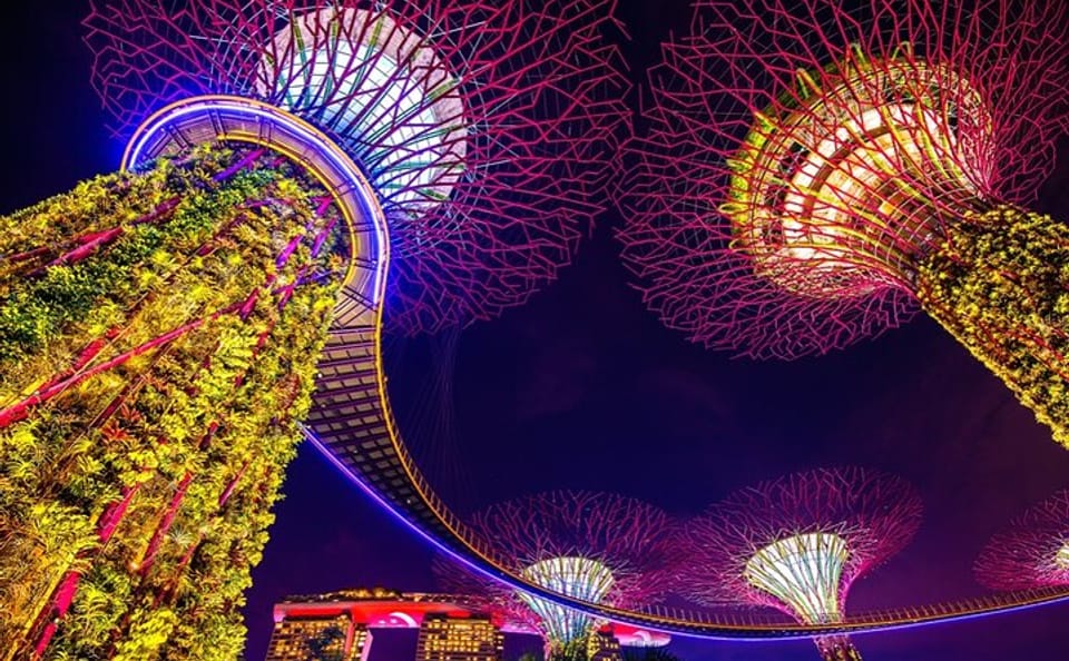 Singapore Gardens by the Bay Admission Skip-The-Line E-Ticket