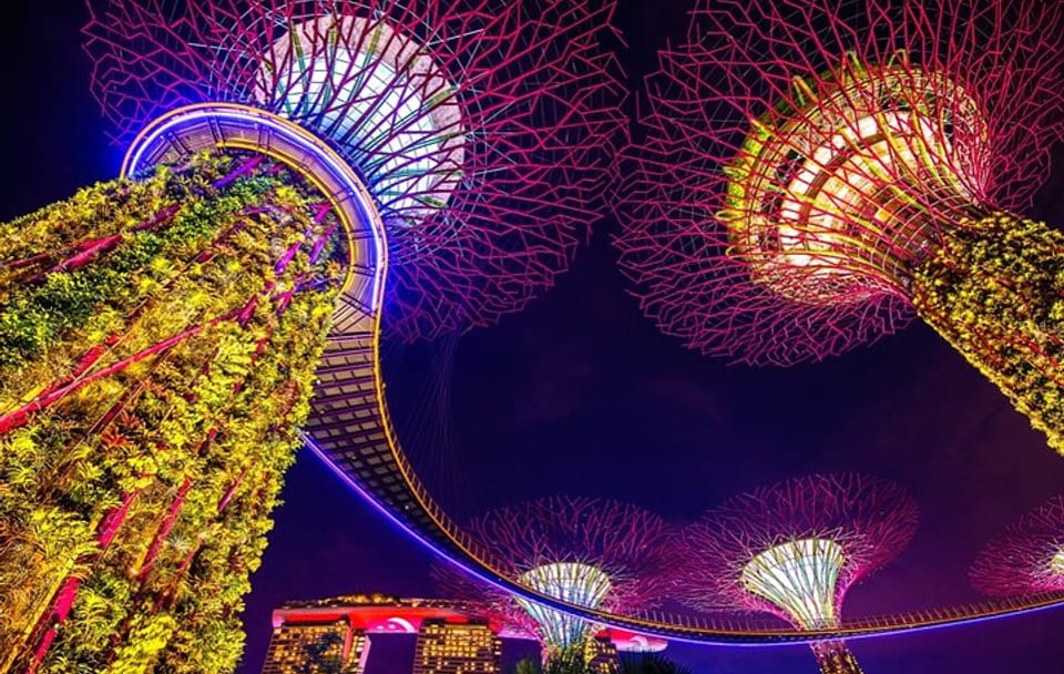 Singapore Gardens by the Bay Admission Skip-The-Line E-Ticket