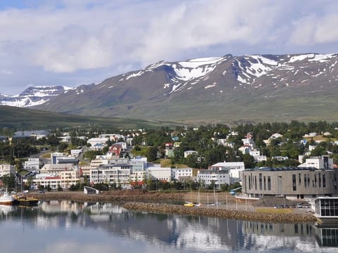 Akureyri Port: Small Group Godafoss Waterfall and Laufas Turf House Tour, photo 5