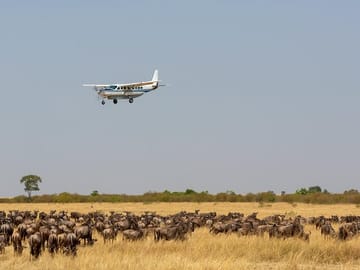 Flight over the Masai mara