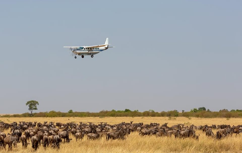 5-Day Group Tour of Masai Mara, Nakuru, and Naivasha