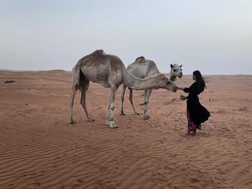 Two-Day Adventure Tour in Wahiba Sands, Oman