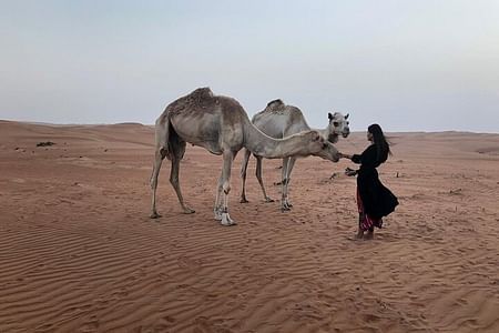 Adventure Tour in Wahiba Sands, Oman: Dune Bashing & Wadi Exploration