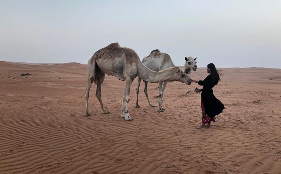 Two-Day Adventure Tour in Wahiba Sands, Oman
