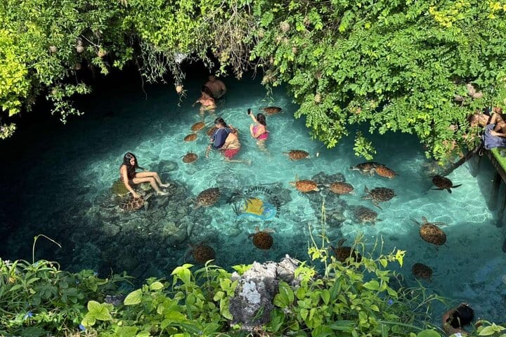 Zanzibar Prison Island, Jozani Forest and Salaam Cave Sea Turtles