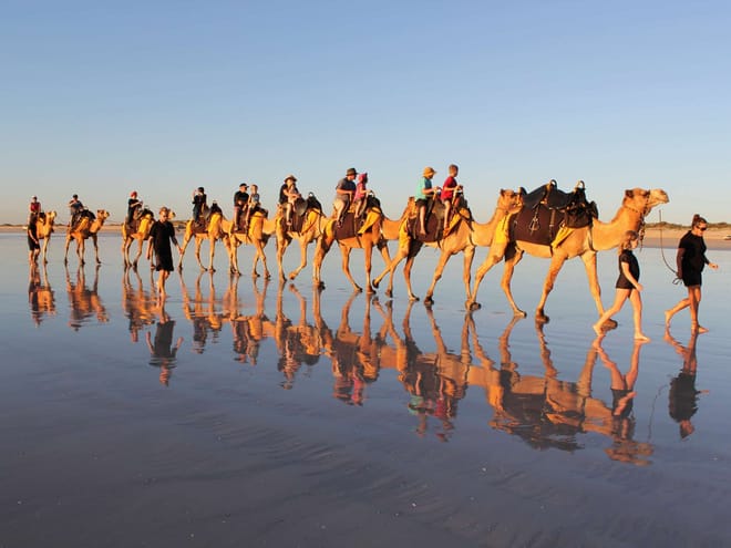 Mogador Camel Expedition Ecotour | 1 Day : Private & Luxury 9