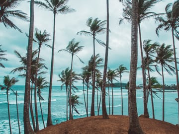 Ceylon Classic Adventure Tour in Colombo, Sri Lanka