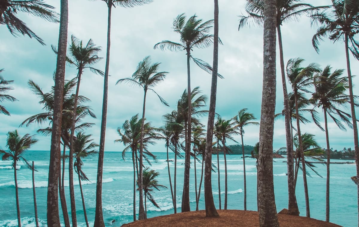 CEYLON CLASSIC TOUR – 3 Nights/4 Days