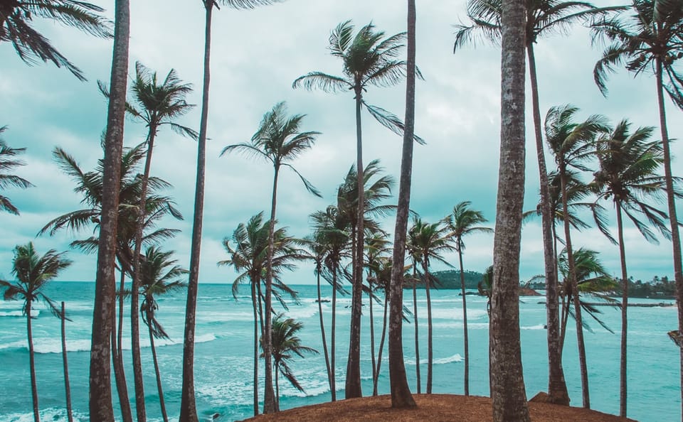 Ceylon Classic Adventure Tour in Colombo, Sri Lanka