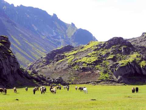 06C - The Valley of Horses - Marardalur, photo 4