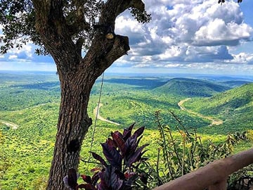 Shimba Hills National Reserve Day Tour with Sheldrick Falls