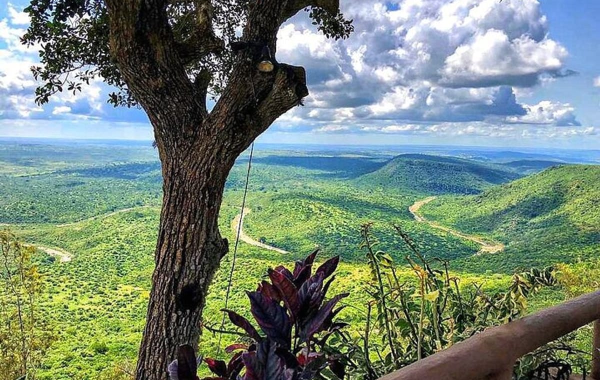 Shimba Hills National Reserve Day Tour with Sheldrick Falls