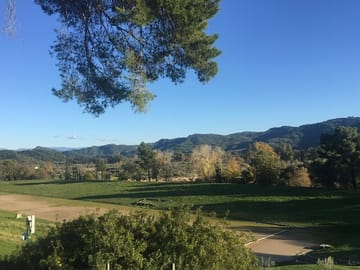 Private Tour of Ancient Olympia with Bee Farm and Winery Visit