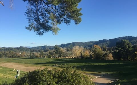 Private Tour of Ancient Olympia with Bee Farm and Winery Visit