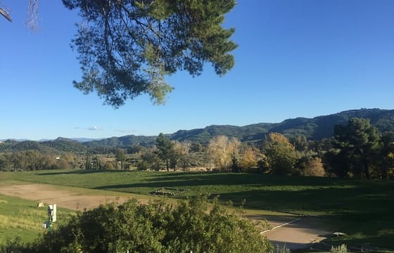 Private Excursion to Ancient Olympia – bee farm & winery