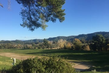 Private Tour of Ancient Olympia with Bee Farm and Winery Visit