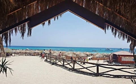 Snorkeling and Diving Day Trip to Ozirea Island, Egypt