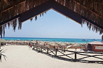Snorkeling and Diving Day Trip to Ozirea Island, Egypt