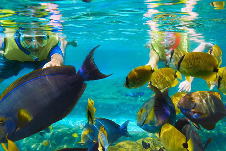PATTAYA-F: CORAL ISLAND Speed boat+Snorkelling+lunch 10
