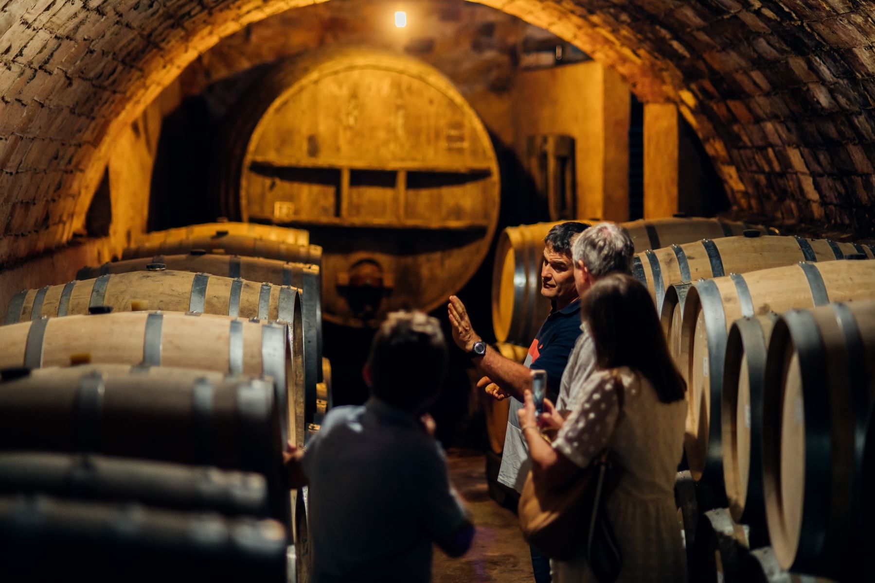 Wine & Olive oil Tour in the Priorat Wine Region