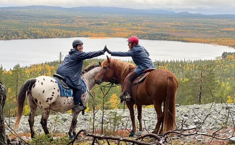 Horseback Riding Tour to Soutaja Fell in Kemijärvi