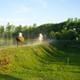 Horseback riding