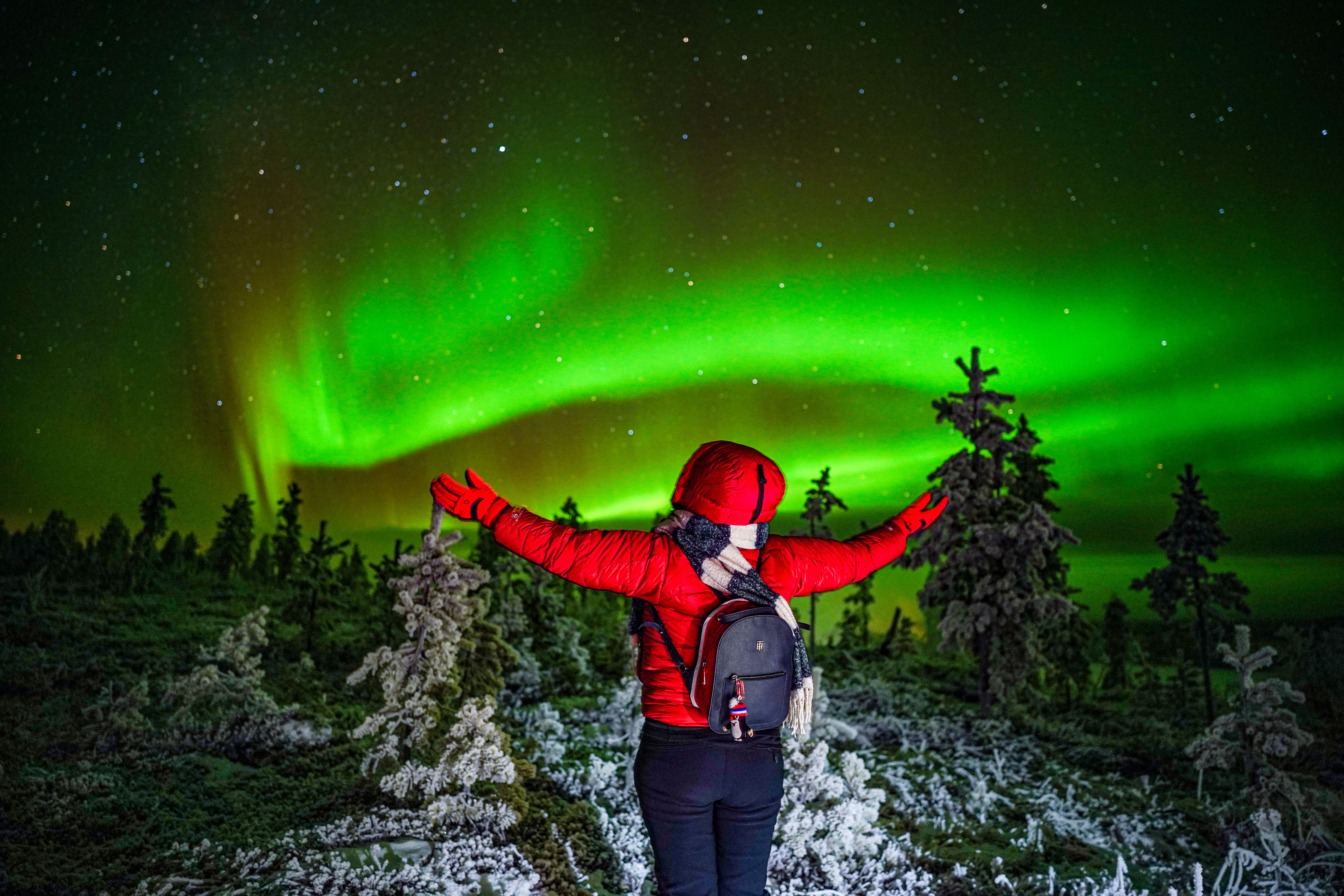 Enjoy the most beautiful natural phenomenon!