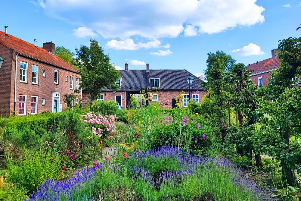 Early morning light at Jeroen Bosch Tuin along the route of the self-guided city game.
