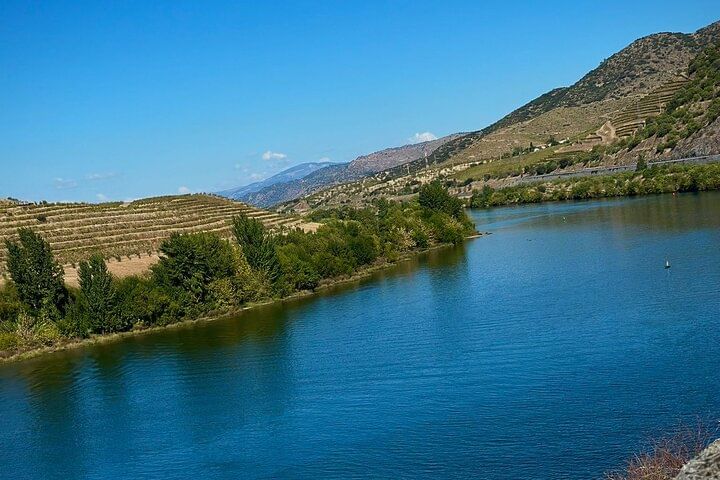 Shared Porto wine Tour By Minivan And Train