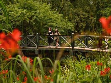 Professional Photo Shoot Experience in Gothenburg