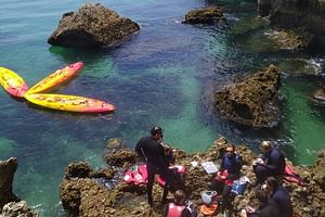All Inclusive Kayak Adventure with Cliff Jumping, Sea Caves and Snorkeling 