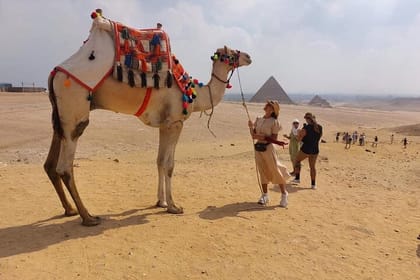 Camel Ride and Quad Bike Tour at Giza Pyramids with Dinner Cruise