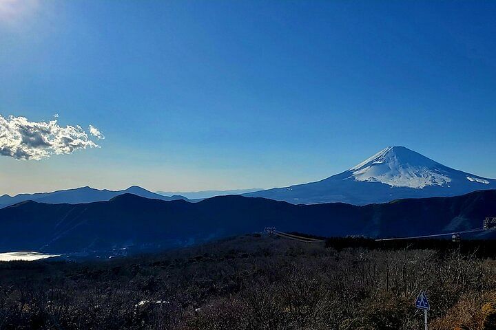 Mt. Fuji and Hakone Private Tour with Bullet Train Return